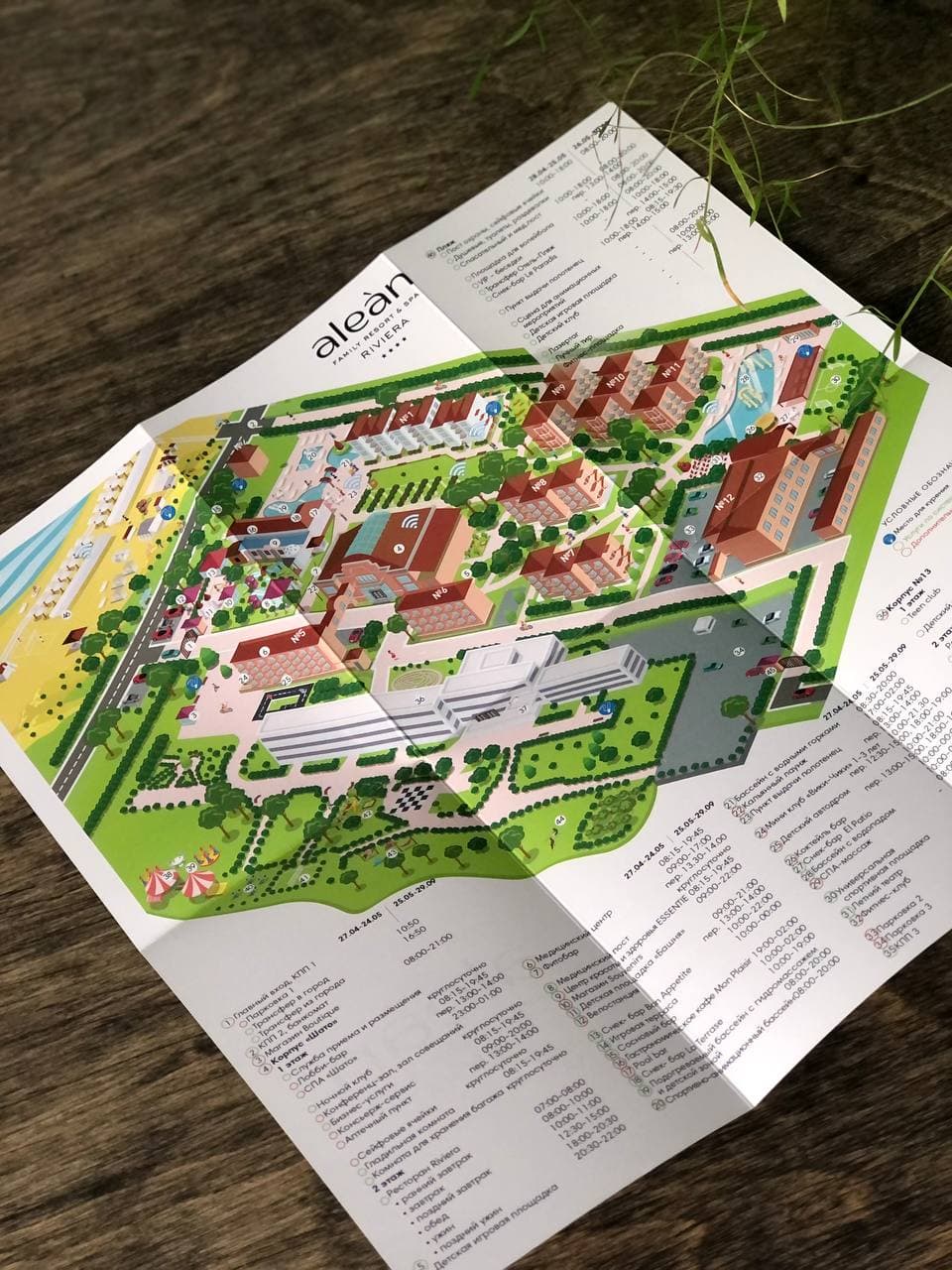 Отрисовка карты территории &quot;Ривьера&quot;